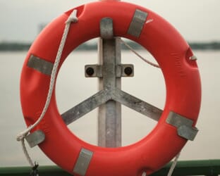 Show Season Survival